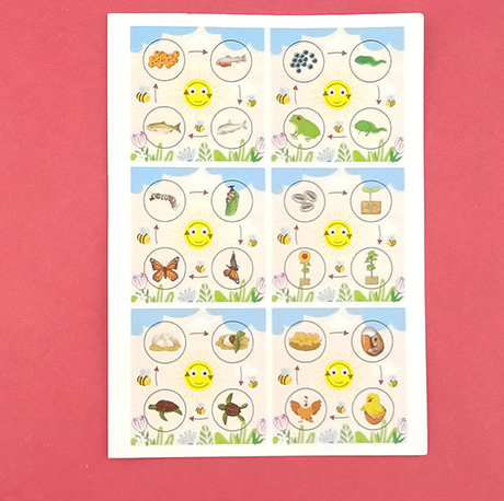 Learning About Life Through Hands-On Discovery