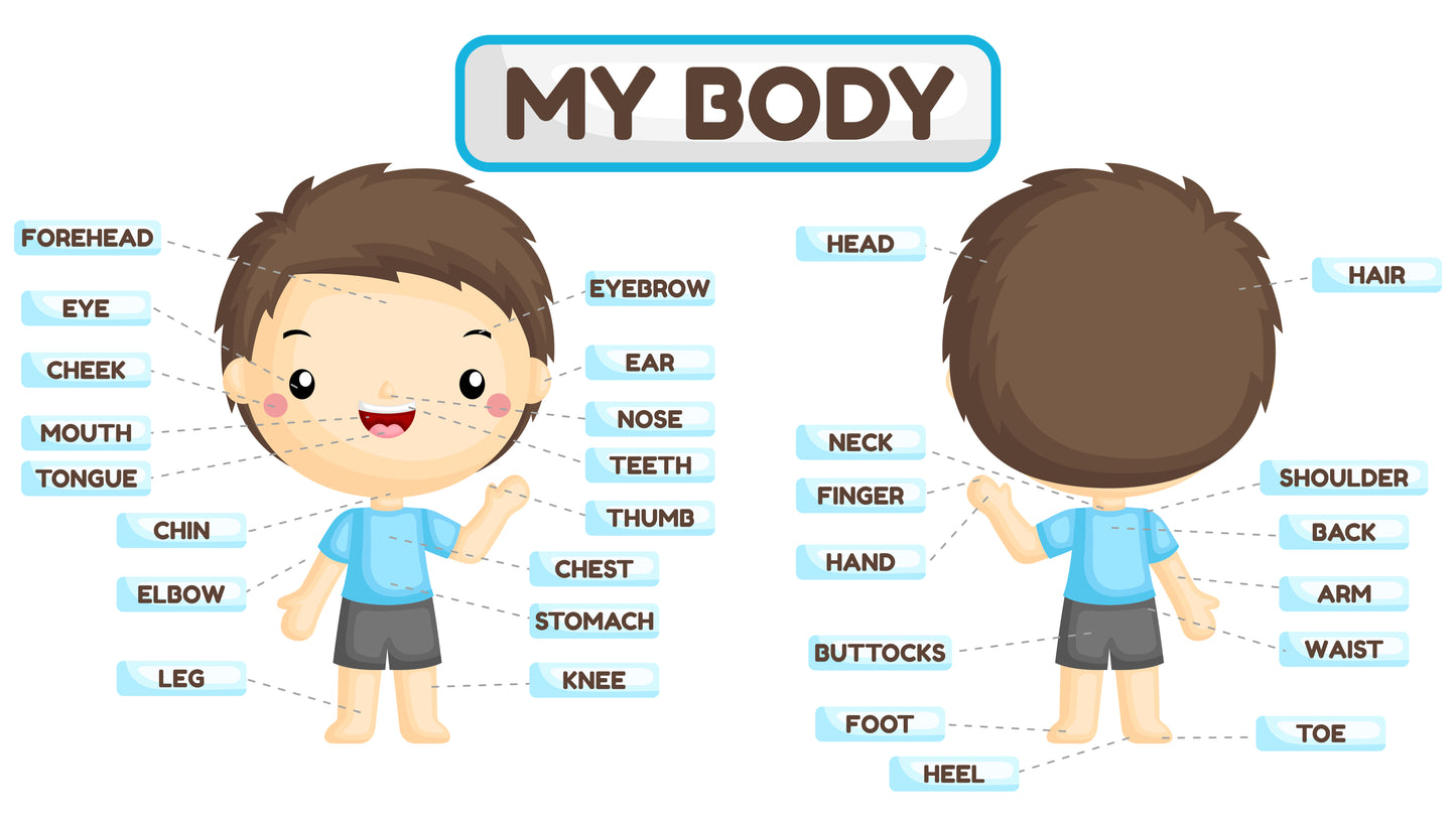 My Body Poster