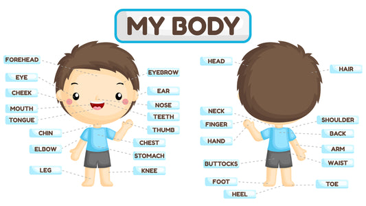 My Body Poster