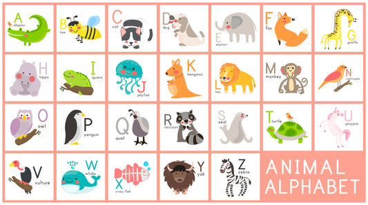 Animal Alphabet Flash Cards (A–Z) – Learning Cards for Kids