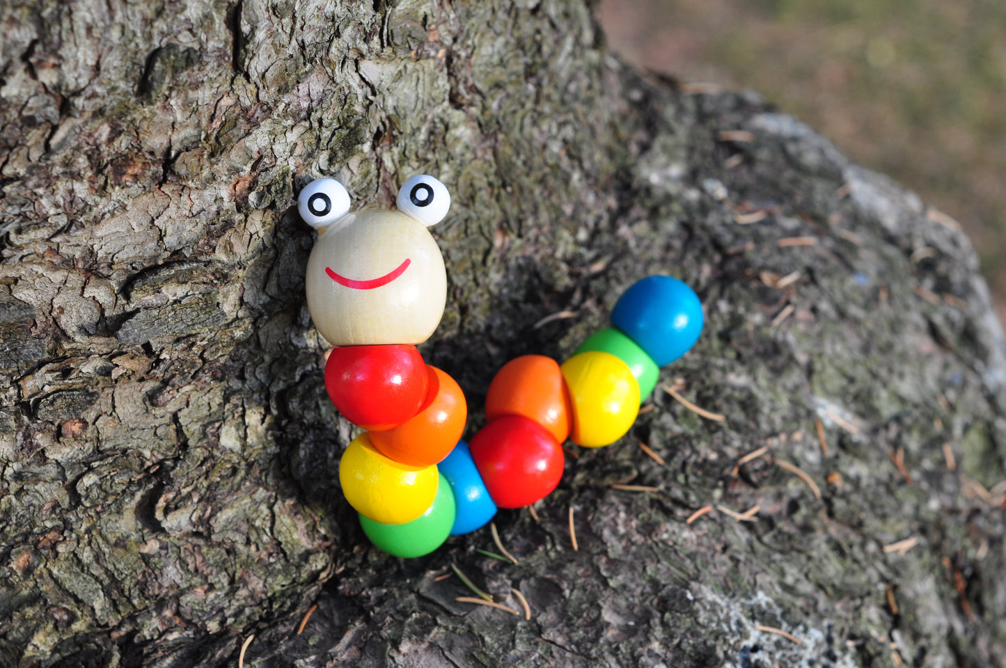 Wooden Caterpillar 6
