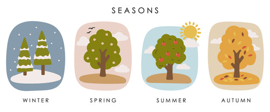 Seasons & Weather Chart Framed Poster – Classroom Learning Display (Customizable)