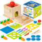 6-in-1 Montessori Object Permanence Box | Early Cognitive Development (Balvatika)
