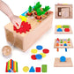 6-in-1 Montessori Object Permanence Box | Early Cognitive Development (Balvatika)