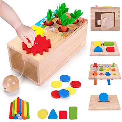 6-in-1 Montessori Object Permanence Box | Early Cognitive Development (Balvatika)