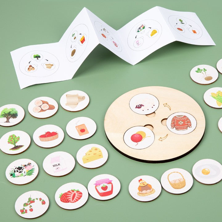 Wooden Food Decomposition Learning Game – Life Cycle & Sorting Puzzle (3+ Years)
