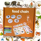 Explore Nature Through Play: Ecosystem Flow & Energy Chain Learning Toy