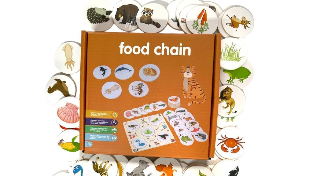 Explore Nature Through Play: Ecosystem Flow & Energy Chain Learning Toy