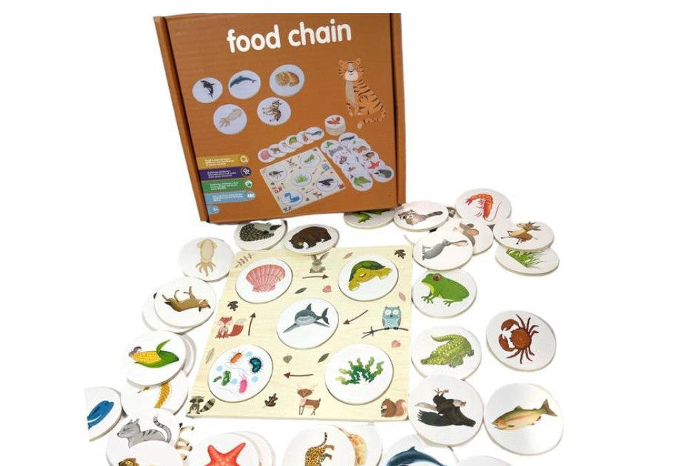 Explore Nature Through Play: Ecosystem Flow & Energy Chain Learning Toy
