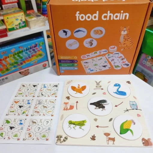 Explore Nature Through Play: Ecosystem Flow & Energy Chain Learning Toy