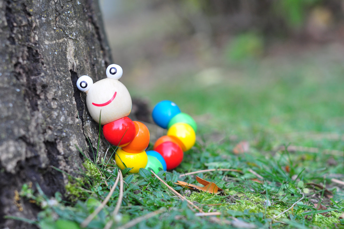 Wooden Caterpillar 4