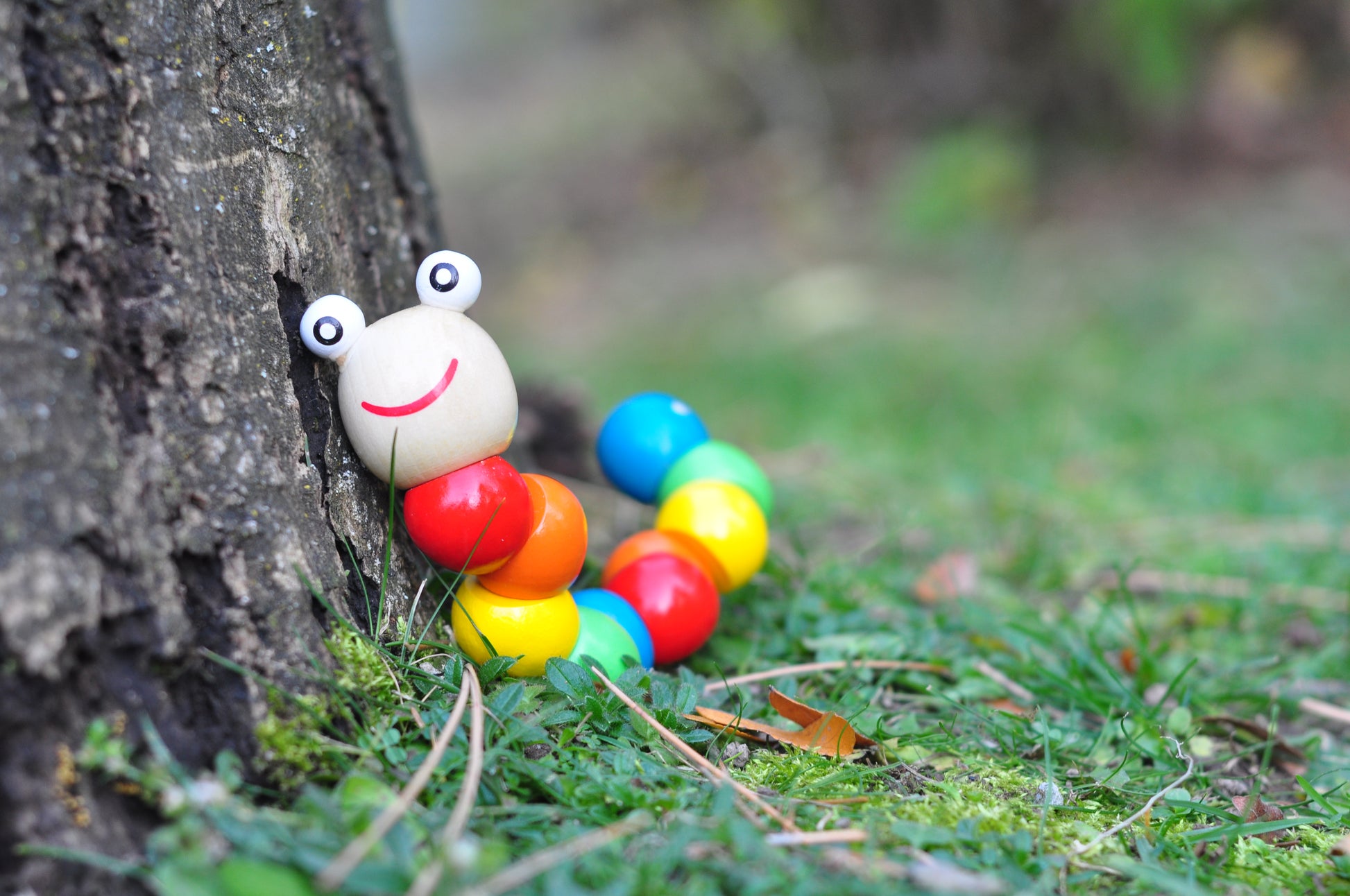 Wooden Caterpillar 4