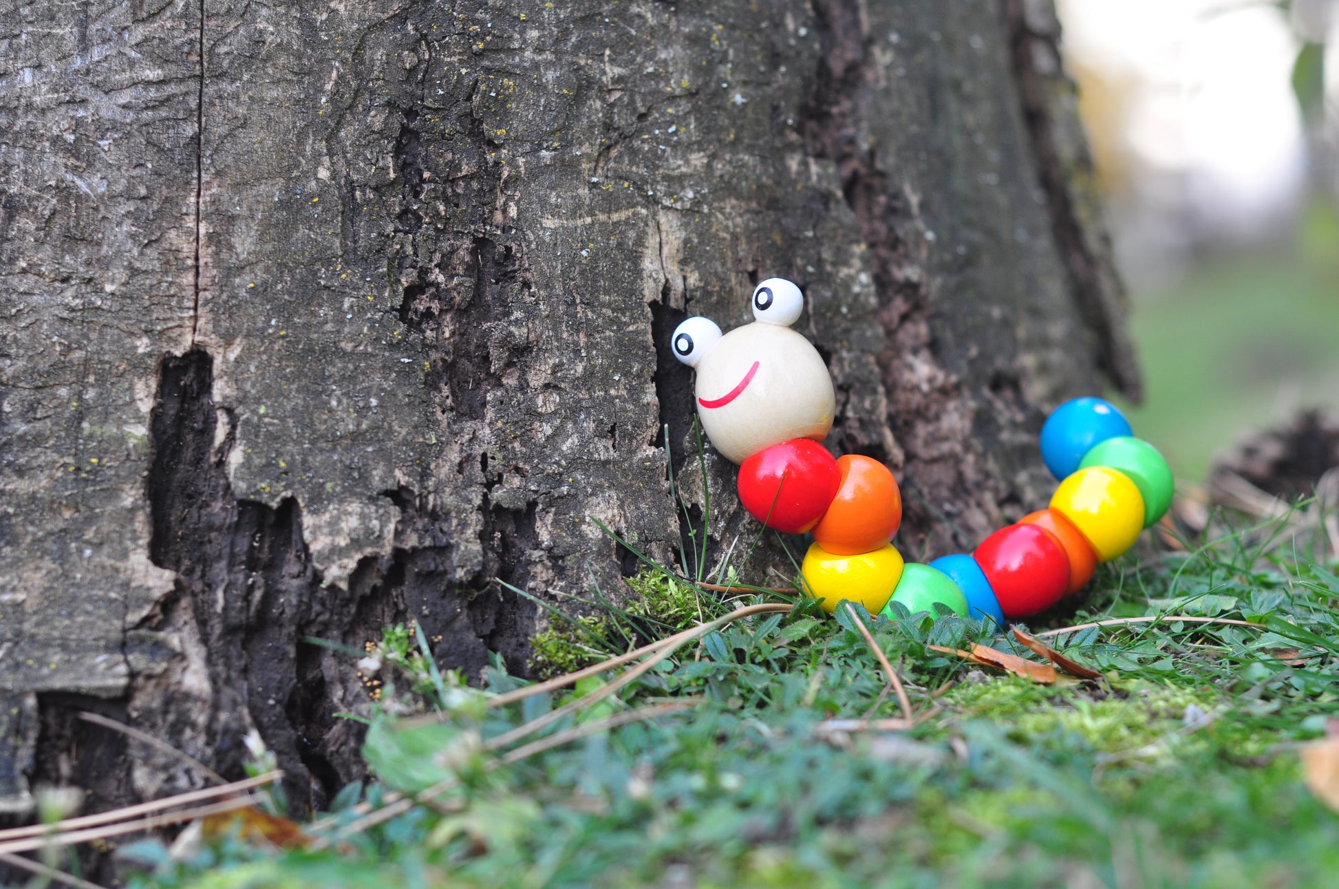 Wooden Caterpillar 5