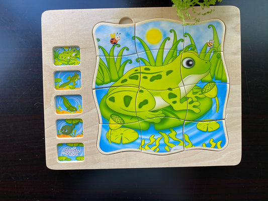 Frog and Butterfly Puzzle 5